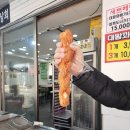 꽈배기상회 이미지