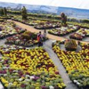 영암읍성B 이미지