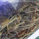 크래버대게나라천안점 이미지