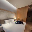 내리 | 아이랑 제주여행 신화월드 신화관 내리 4박 한 후기 객실, 뷰, 수영장, 테마파크 내돈내산
