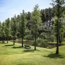 에덴장식 이미지