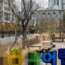 새밀알어린이집 이미지