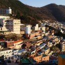동서식육점 네이버블로그
