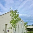 부티크소공 이미지