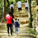 오봉산 맨발 등산로 이미지