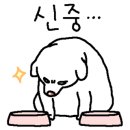 윤애견미용 이미지