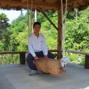 천석농장 이미지