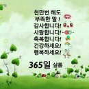 샬롬 이미지