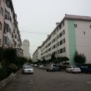 보성아파트 네이버블로그