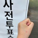 [5월막주]21대 대통령 사전투표😎(내돈내산후기 무크남성샌들,어덴비화장품)