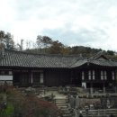 사람박물관 얼굴 이미지