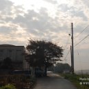 장안1리경로당 네이버블로그