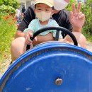 여주-0248 | 강원도가볼만한곳 원주 용수골 꽃양귀비 축제