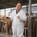명품한우 이미지