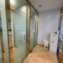 도그마루 강아지 고양이 양산화명점 이미지