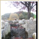 (자)승*수 이미지
