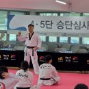 필승태권도 이미지