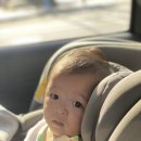 [육아용품]SEEC한 육아하기