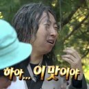 토닥토닭 이미지