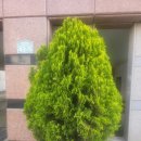 인동32길-5 이미지