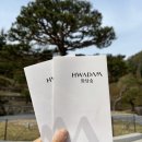 [경기도 광주] 벚꽃 명소 &#39;화담숲&#39; 실시간 후기 :_)