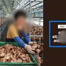 (주)동아컨설턴트 - 612 | (주)동아컨설턴트