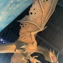 해리약국 | [도쿄여행]DAY4 해리포터 스튜디오→ 신주쿠 맛집·카페추천, 3D고양이 후기