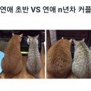 공감 이미지