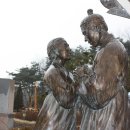 박달하지 이미지