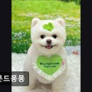 아몬드 몽몽 이미지