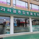 라파엘종합동물병원 이미지