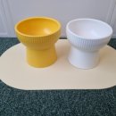 함께냥 대전점 이미지