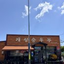 (주)새벽김치 | 완도 맛집 추천 10000원으로 해장하기 딱 좋은 가성비 밥집 [개성순두부]