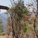 원주굽이길 원5코스 간현봉길 이미지