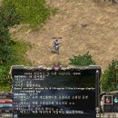 호오 이미지