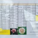 북경쌀짜장