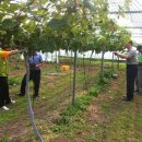 김금순농장 이미지