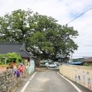 삼보산골 마을 이미지