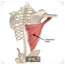 지투피트니스 이미지