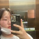 주식회사 하이브로 | 20230504~20230528 세븐틴 카페 in 서울 후기