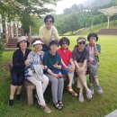 진안고원치유의숲 이미지