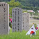 우쿨렐레(주간) 이미지