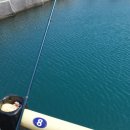 송정유료낚시터 이미지