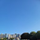 수원현대자동차운전전문학원
