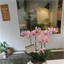 경기화분