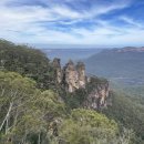 블루마운틴 이미지