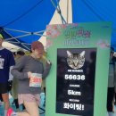 삼호농장 | [영암] 2026 왕인박사유적지에서 뛰는 영암벚꽃마라톤 5k후기