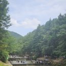 고산자연휴양림 산림휴양관 이미지