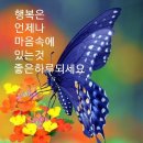 행복한아침 - 안성시 서동대로 4061 | 행복한아침