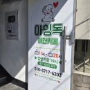 아잉 | 여수 이색카페 동물카페 아잉독 내돈내산